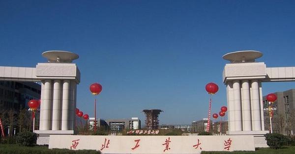 求职|985出现“鄙视链”，求职被拒绝，聊天对话暴露出了当下现实！