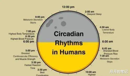 人能活多久?关键在两个年龄段,古人在2000年前早已算好生命周期