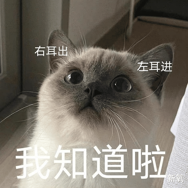 毛衣 韩国化妆师的钱有多好赚？次抛精华是不是智商税？