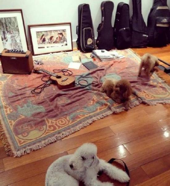 带你看看江一燕住的豪宅,直接躺在地毯上休息,生活也太随意了