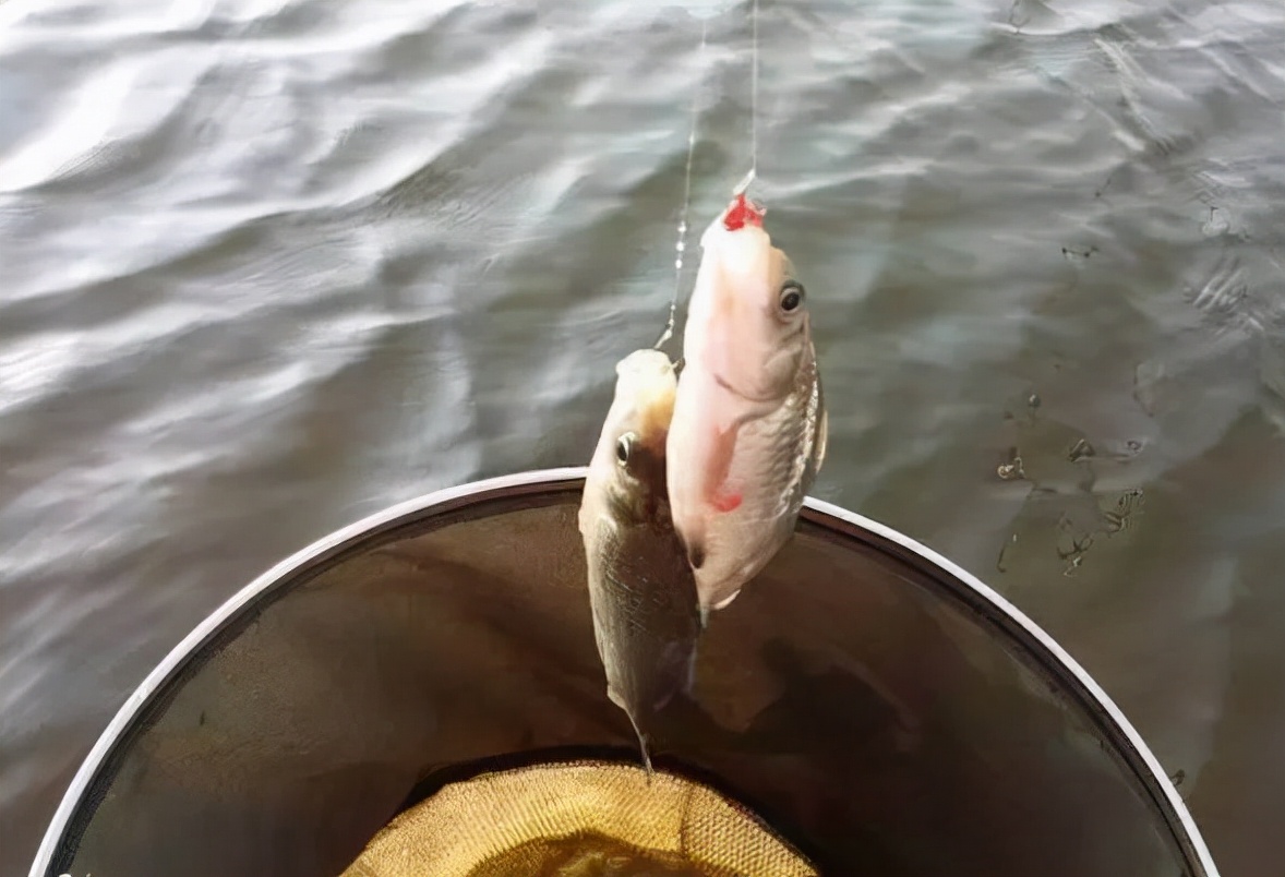|春钓鲫，这4种“天气”不易钓，钓技再高资源再好，70%会“空军”