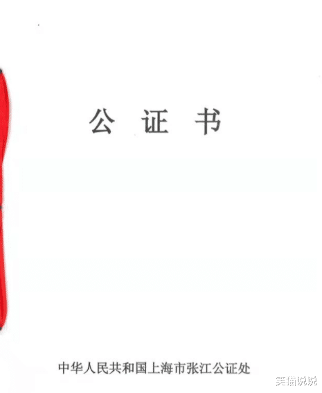 李靓蕾|By2工作室晒公证书再次回应李靓蕾私信录屏:不要诽谤污蔑,接受法律裁判!