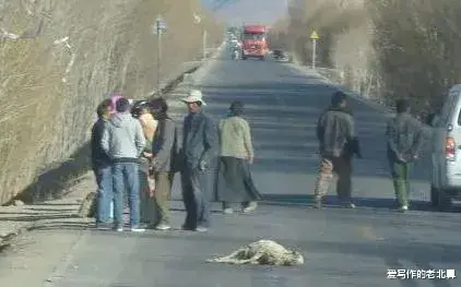 开车撞死了羊,赔了3000,死羊人家死活不给我,我该报警吗?