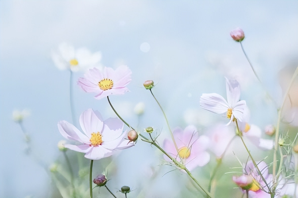 退休|退休以后,不要请以下几种人吃饭,请了,烦恼也就来了