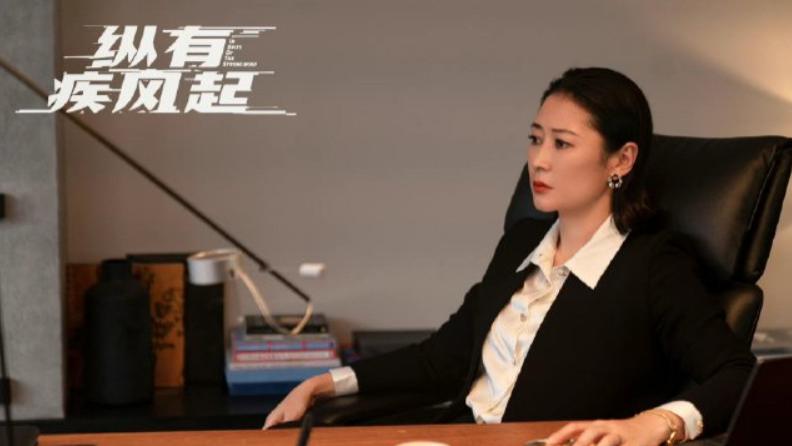 人力资源|《纵有疾风起》梁总，话糟理不糟，尽显职场真理