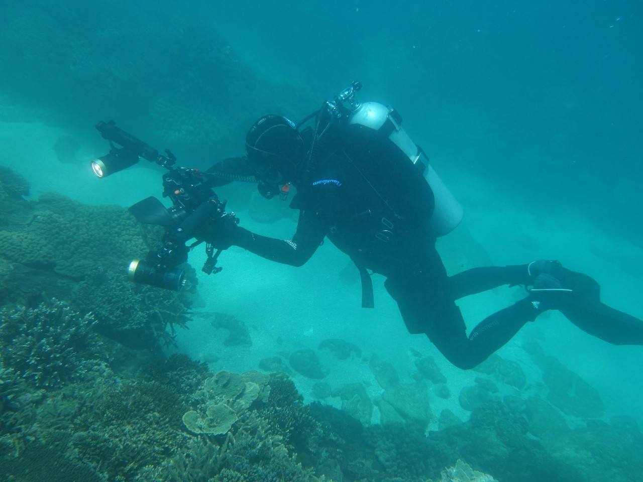 机器人|人类通过一个定制设计的单向声通信调制器,远程控制机器鱼