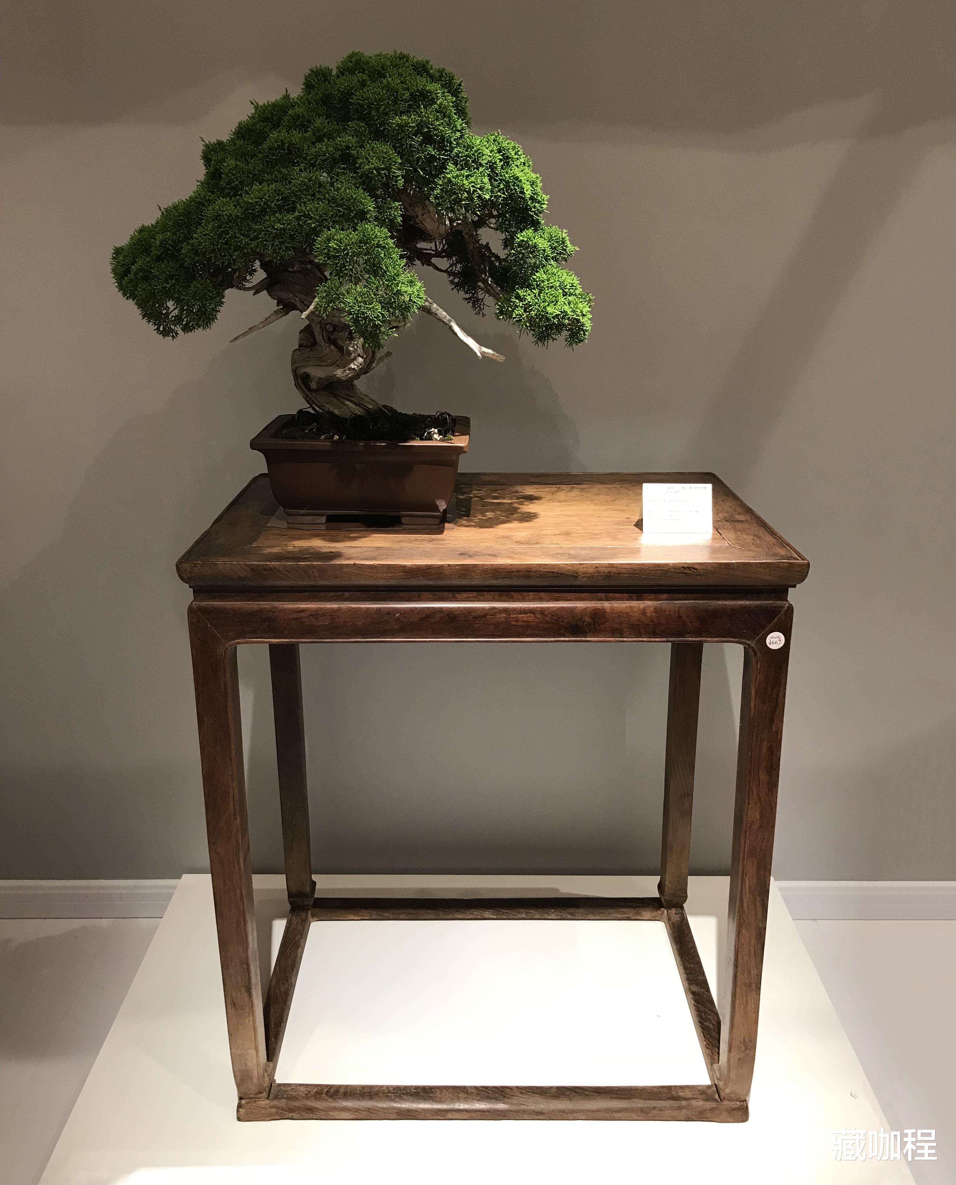 流拍|有厚厚的漆底,黄花梨长方香几结果流拍