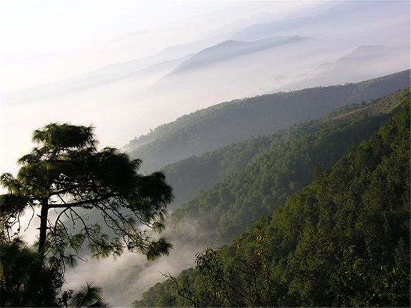 佛山|打卡楚雄山林秘境，让凉爽伴你踏上夏日旅程！