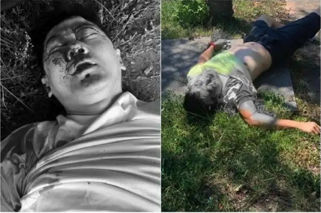 张雨绮|赛车手林志颖，驾驶特斯拉撞击桥墩，台媒不淡定了