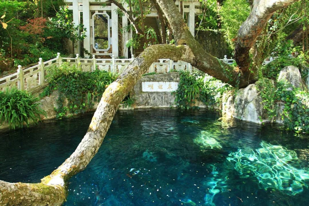 古镇|我还是很喜欢你,像风走了八千里,不问归期