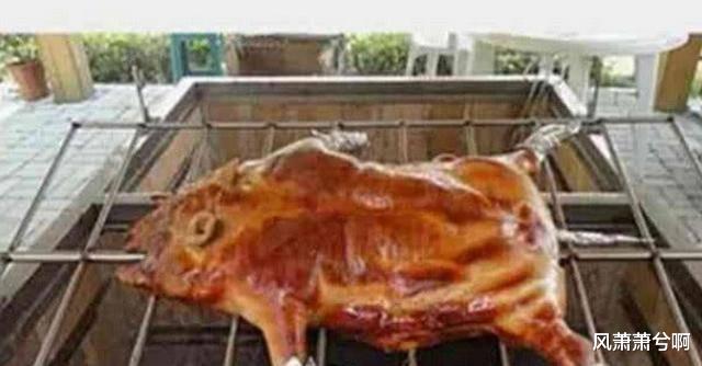 男子网购宠物小香猪做成烤乳猪,还发“买家秀”给卖家,卖家的回复亮了