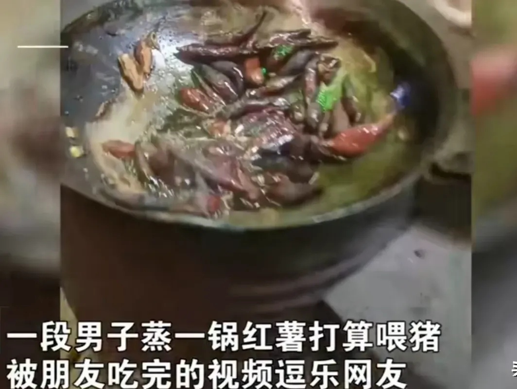 牧风芳华 男子煮了一锅猪食，被朋友偷吃光，看到食材，网友：活得不如二师兄