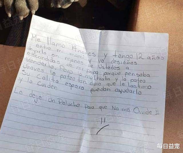 小男孩亲手将爱犬遗弃，还留下了一封信：别告诉我的父亲！