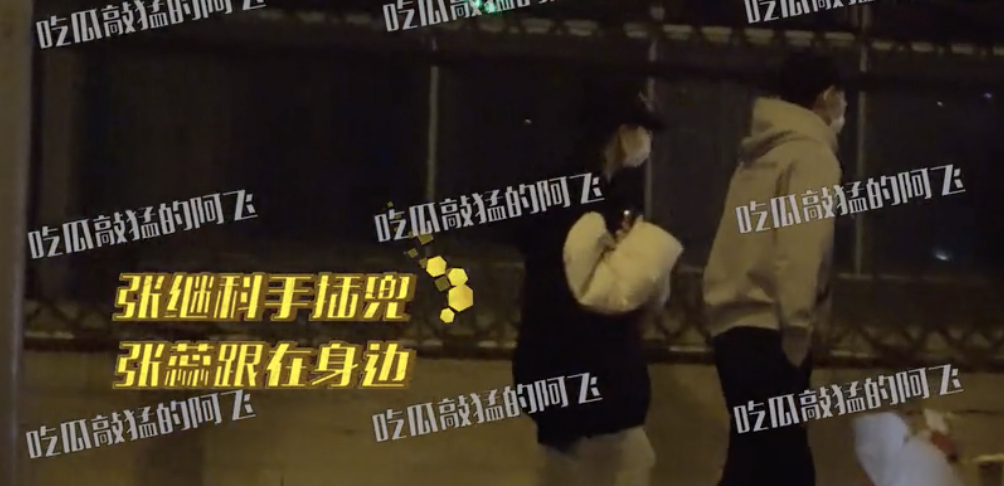 张继科|张继科张蕊再被拍,同行还有小男孩儿,两人深夜回小区关系引猜测