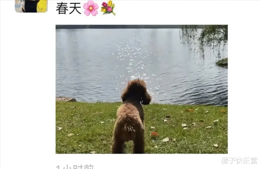 姑娘下次自拍的时候整理一下房间吧，私人用品都曝光了