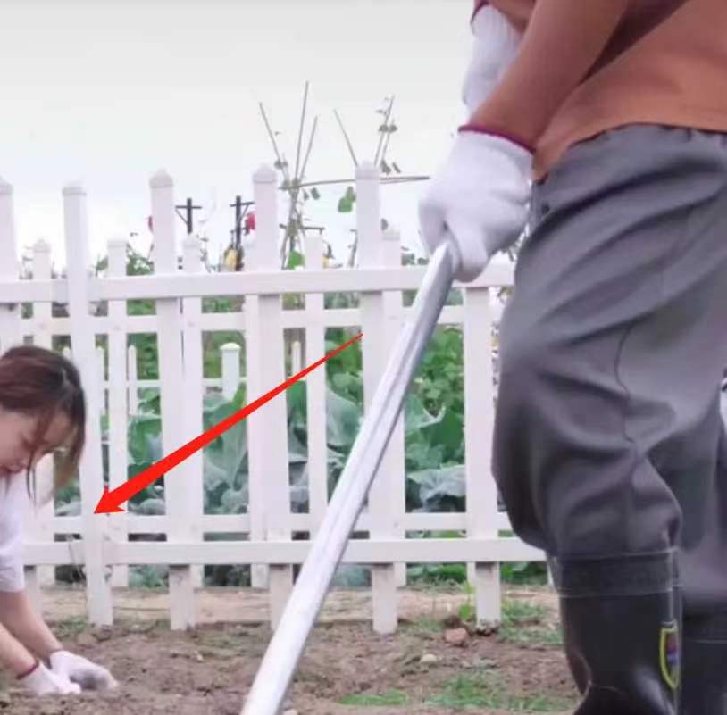 王宝强|王宝强下地干活,皮肤黝黑自夸真农民,冯清在一旁帮忙不娇气不嫌脏