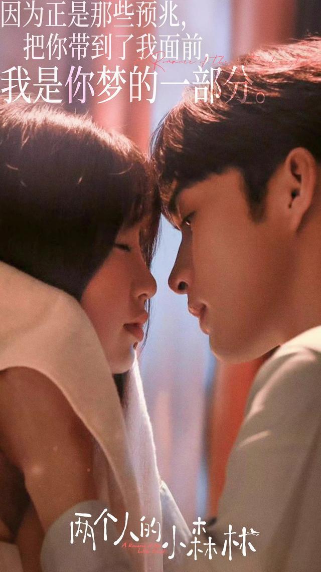 虞美人|《两个人的小森林》豆瓣开分6.6分，其实它值得更高的分数