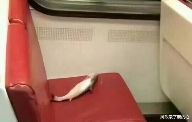 |找工作面试我问HR是否双休，HR：“做你的咸鱼吧，我们不招你”