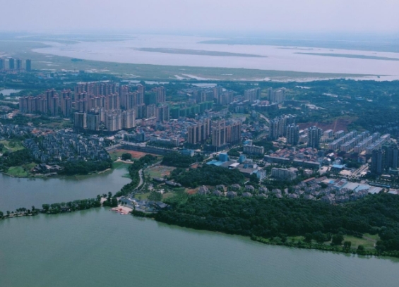 自如|大城市的工作者，面对老家三四线房价，直呼便宜