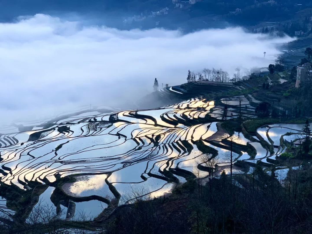 云南|一个冬天，四种云南，一个超越想象力的旅行地