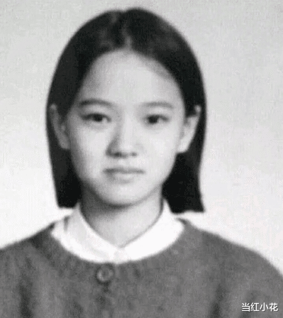 张智霖|张智霖,另一个版本的伊能静