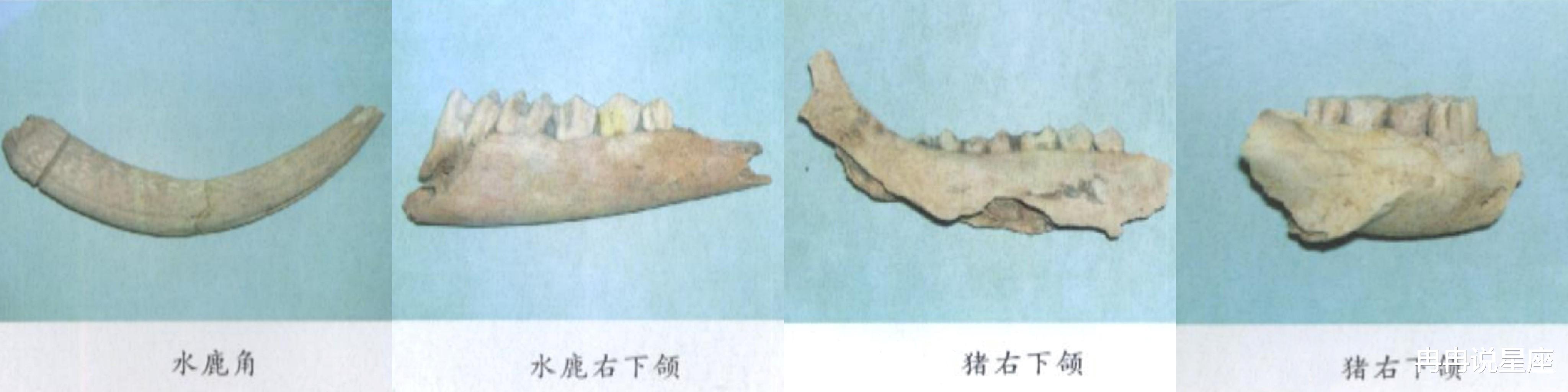 比三星堆还早2000年,也许这里才是“古蜀之源”?
