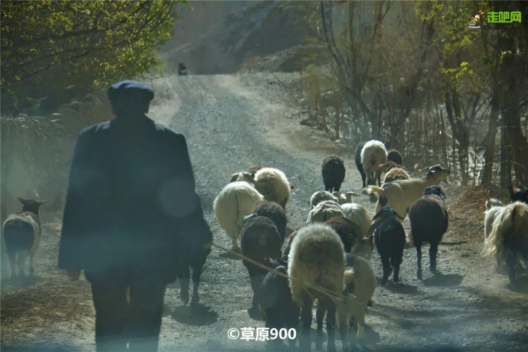 南疆|跟着秋天，去南疆！
