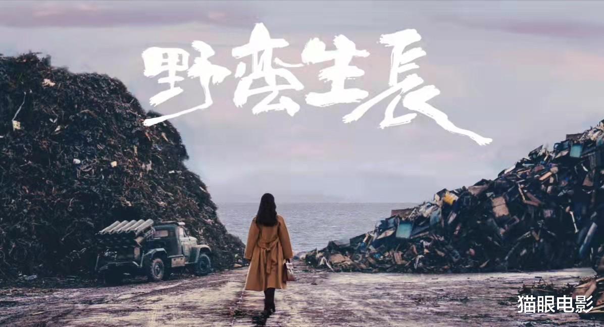 迪丽热巴|34岁赵丽颖太有御姐范，翘鼻红唇眼神犀利，怪不得找她演企业家