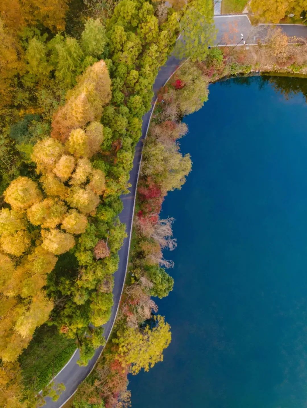 上海市|绝美上海后花园!景美人少性价比还高,大人小孩都玩得不想走