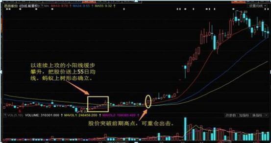 中国股市：一旦走出“蚂蚁上树”，洗盘完毕，正是牛股启动信号