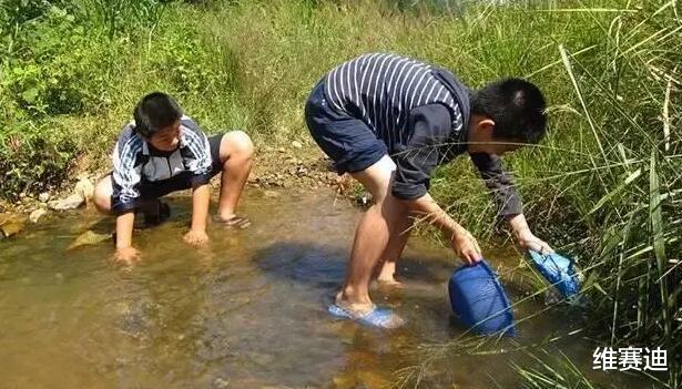 明星|之前叫国人别吃肉,现在又不让吃海鲜,这些明星可真会搞事