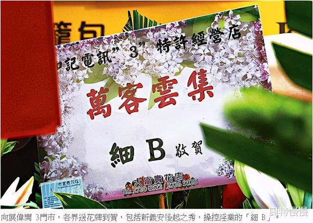 新义安|他是新义安现任“龙头”,向华强的侄子,江湖人称“太平山大状”