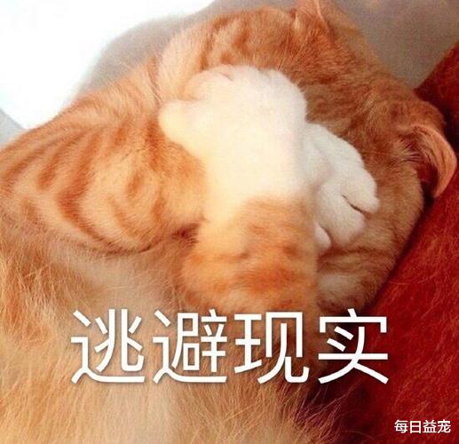 狗狗突然挣脱绳子，对着路边小车狂叫，主人看清后吓得赶紧报案