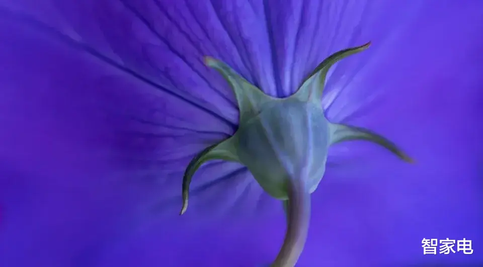 洗衣机|家电业一枝独秀! 洗衣机满意度创5年来最高水平