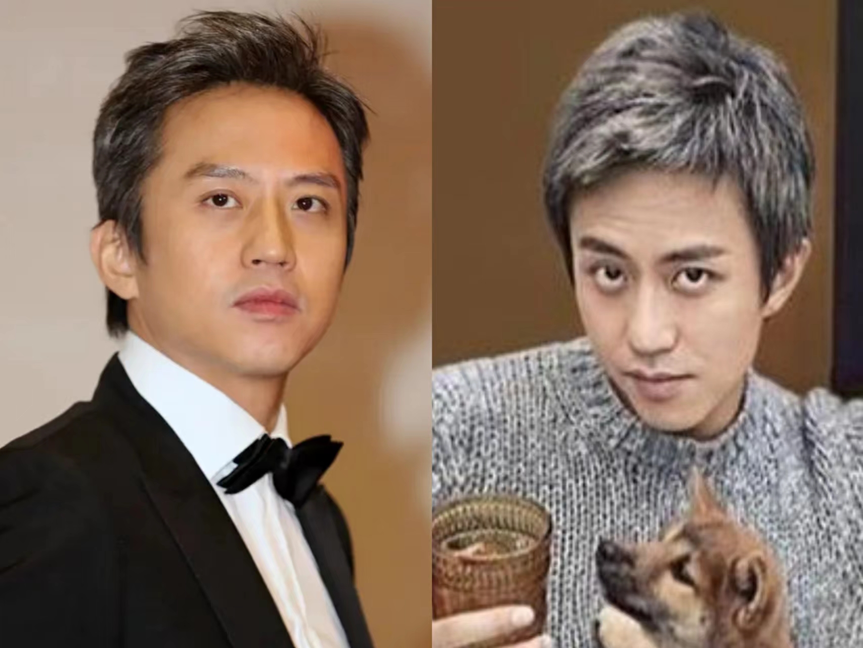 染发 步入中年白发越来越多，你会选择染发吗？托尼老师给出三个建议