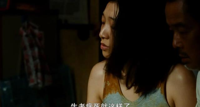日本完成首批“人兽混合胚胎”实验,称在“造福人类”,可信吗?