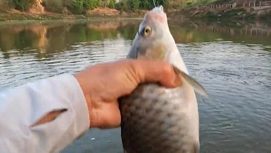 |钓鱼人要洒脱，生来一无所有，何惧从头再来！