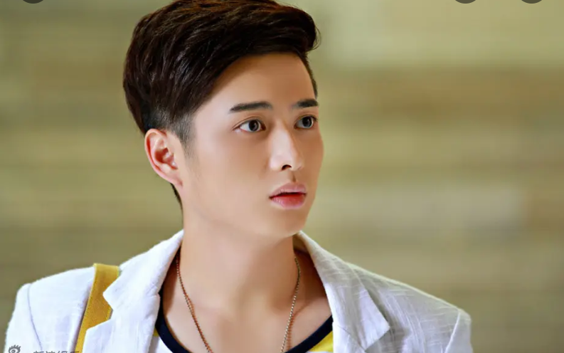 韩承羽|韩承羽在直播间夸成毅，结果好心办了“坏事”