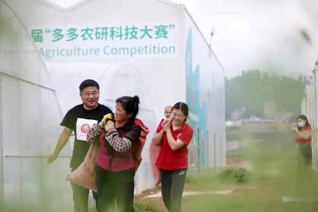 伊隆·马斯克|马斯克兄弟看中的集装箱种菜，突然火了