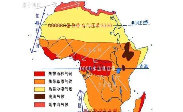 同样是大象,为何亚洲象能帮人工作,非洲象却不能?