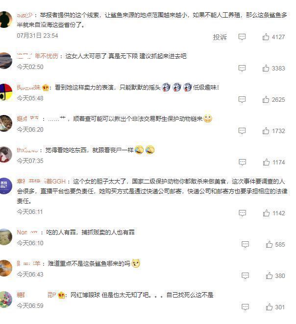 网红提子鲨鱼事件后续,警方确认为保护动物,或将面临刑事责任