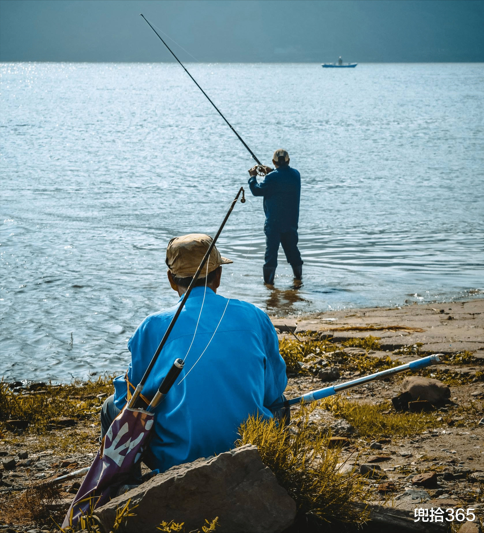 |是清道夫劈腿还是鲫鱼出轨?男子钓了半辈子鱼,被一黑鱼弄懵圈了