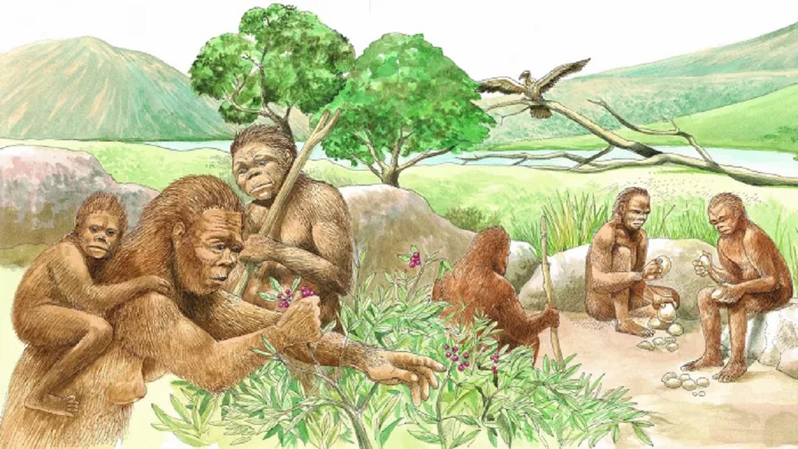 10万年前,地球至少还有6种人类,为何最后只剩下我们?