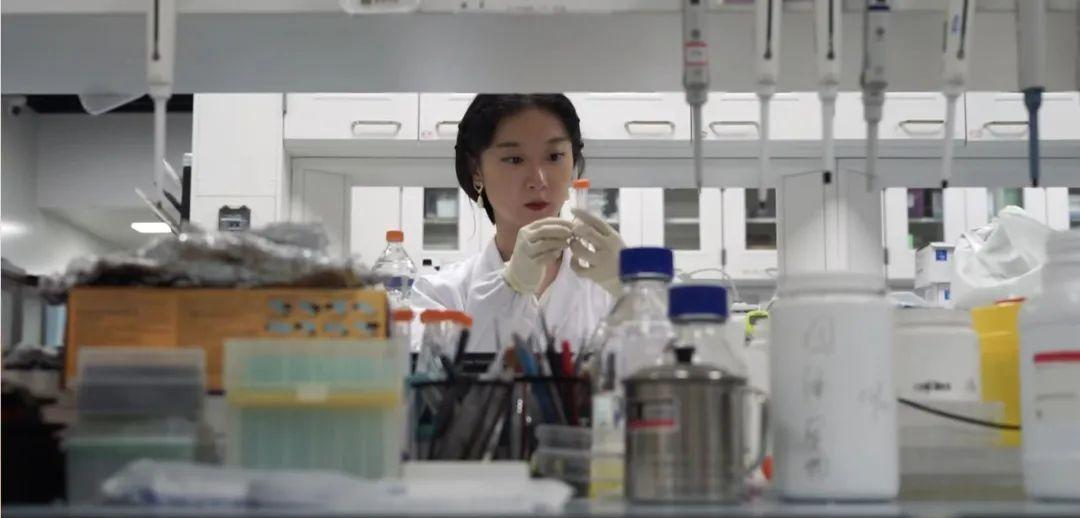 研究100种动物“性生活”后,牛津女博士发现人类相爱的秘密