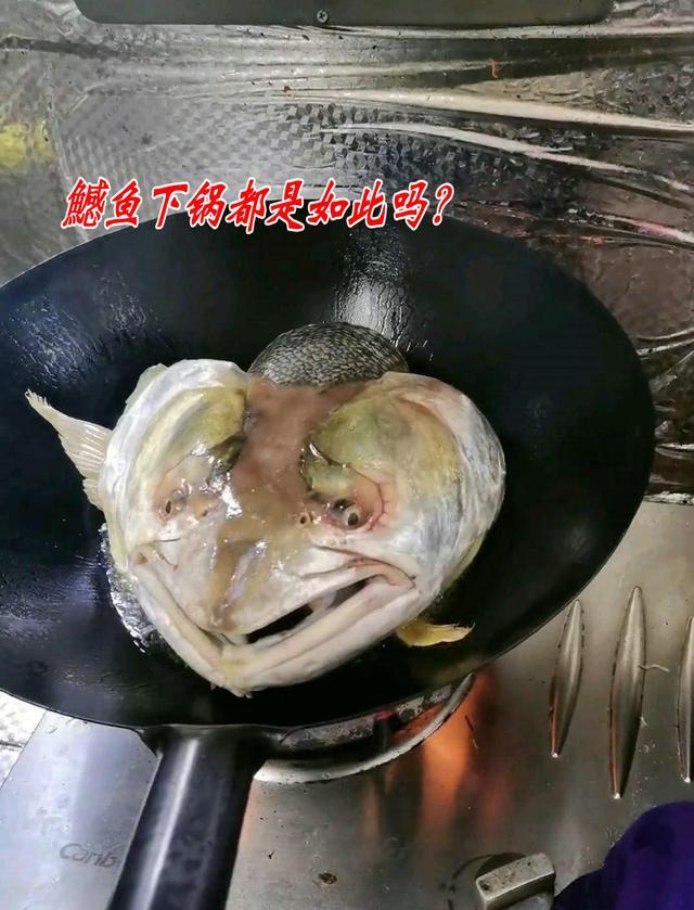 老虎|不是一般的鱼？江西男子钓获“水老虎”，鱼头下锅后呈现奇怪表情