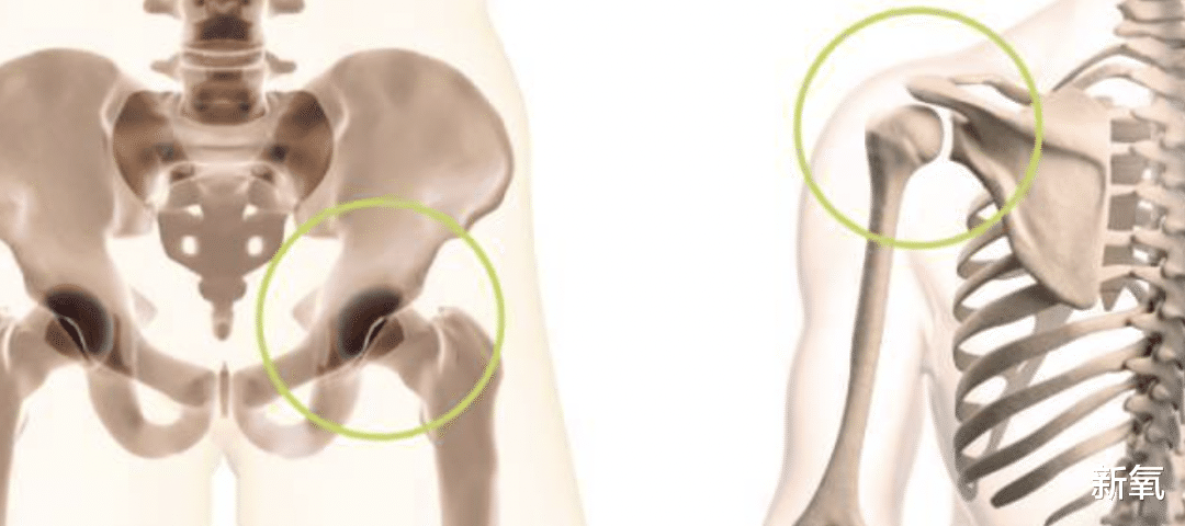 裴秀智 韩国淡颜美女冲上热搜,这是什么蜜汁传承吗?