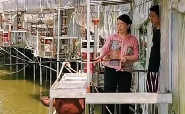 柴桑大姐阐述许妈状态，困难无法想象，称会一如既往陪许敏走到底