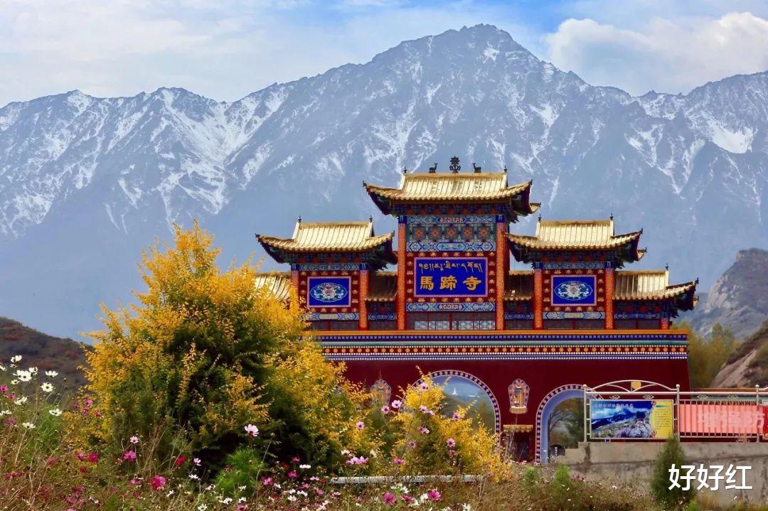 张掖|它底蕴不输敦煌!这座被严重低估的千年古城,很多人路过都错过了