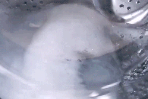 洗衣机有个“隐藏开关”,只要一打开,脏水哗哗流,多数人都不懂