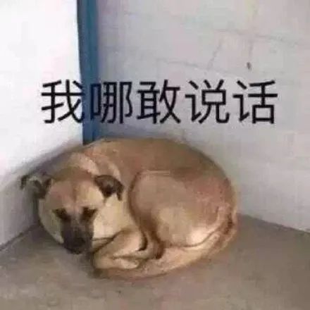 马圭尔|马圭尔这么努力了，你们怎么还要给他寄炸弹啊？